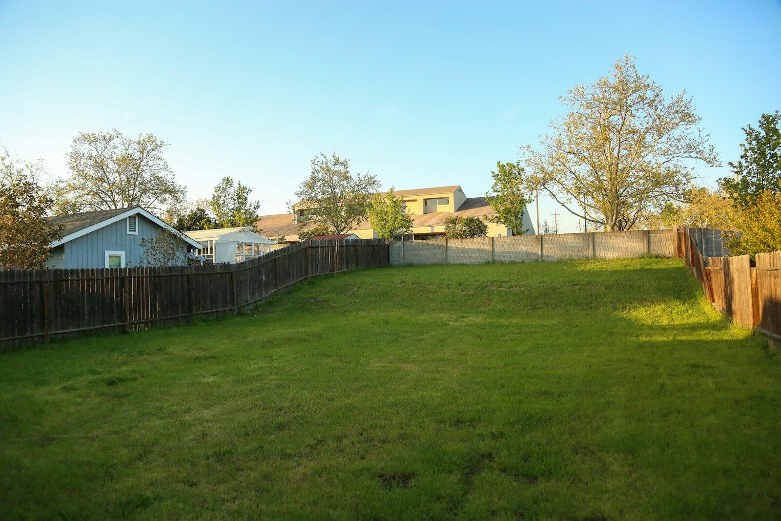 Green backyard lawn with a fence and trees
