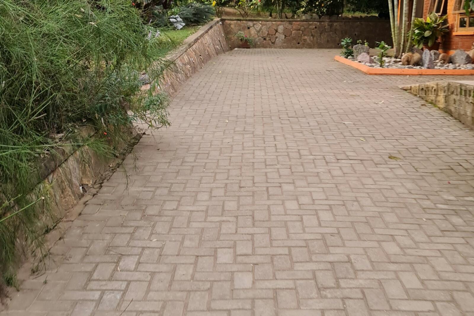 Brick walkway curving between trees and planting beds