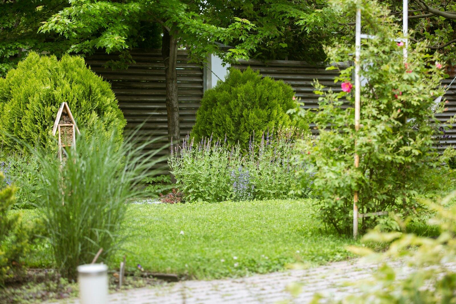 Planted garden with shrubs, grasses, and a stone path